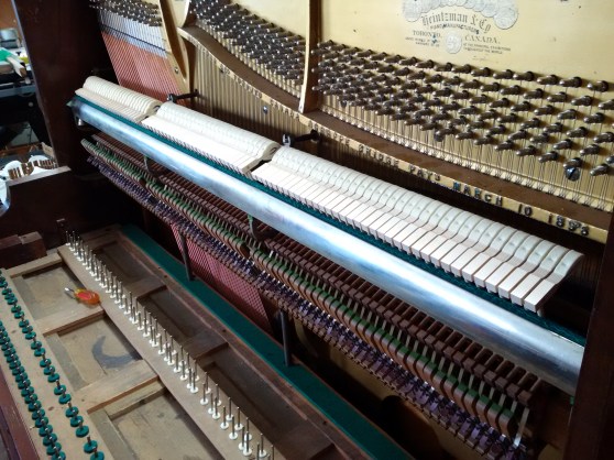 IMG_20160302_153714#1