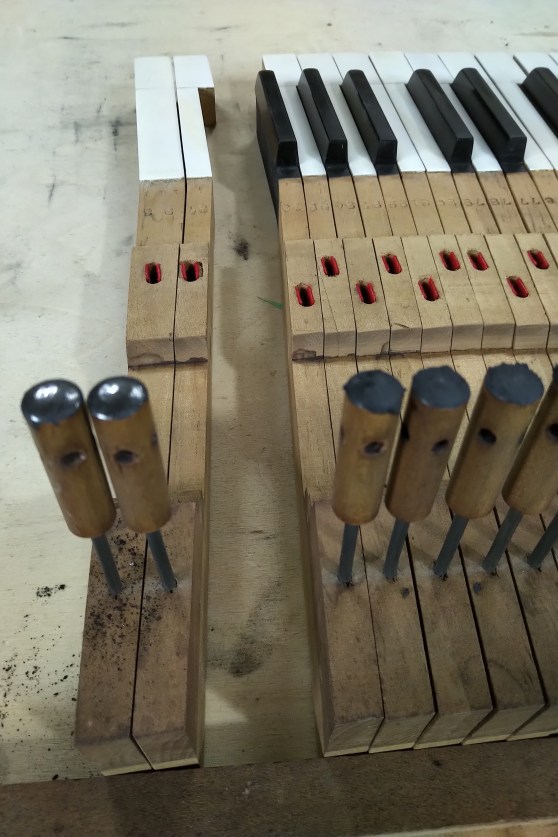 IMG_20190708_1931241